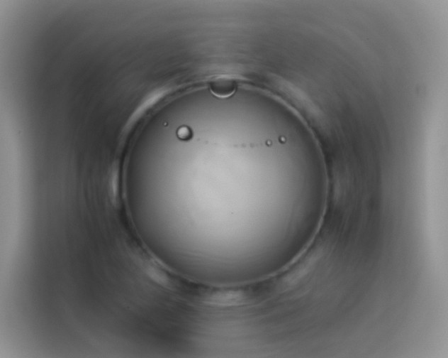 X0000114151174200910081327