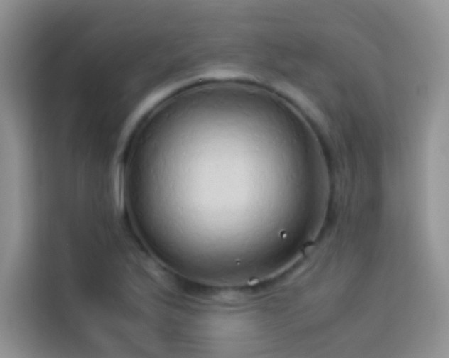 X0000114151175200910081327