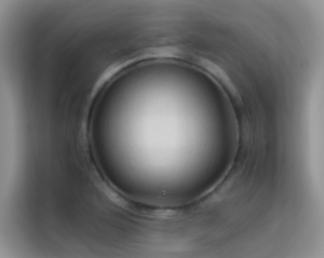X0000114151176200910081327