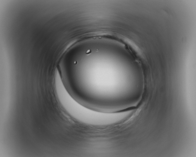 X0000114151177200910081327