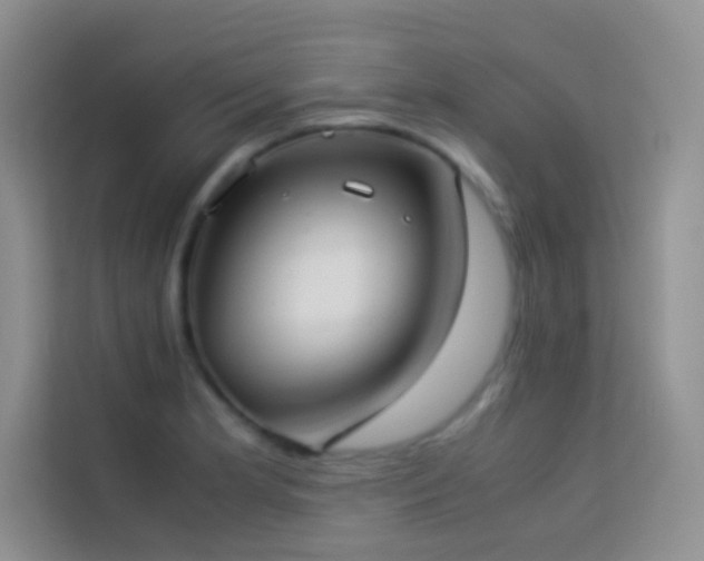 X0000114151181200910081327