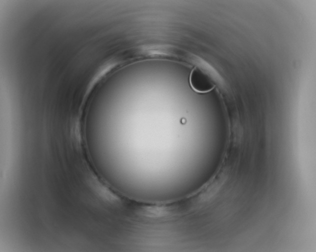 X0000114151182200910081327