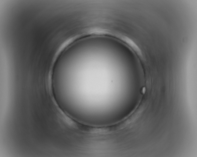 X0000114151183200910081327