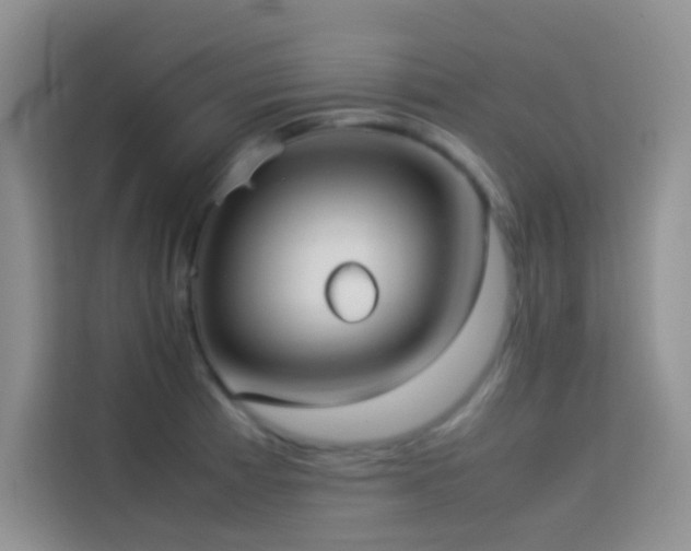 X0000114151185200910081327