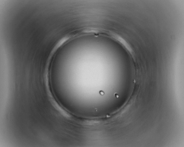 X0000114151187200910081327