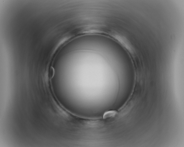 X0000114151189200910081327