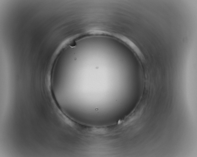 X0000114151191200910081327