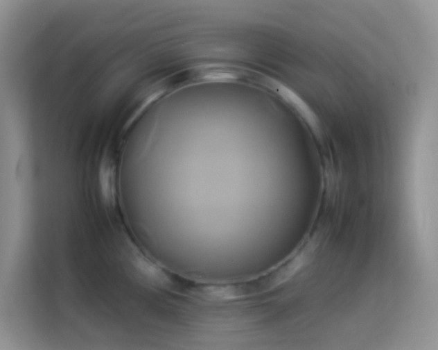 X0000114151194200910081327