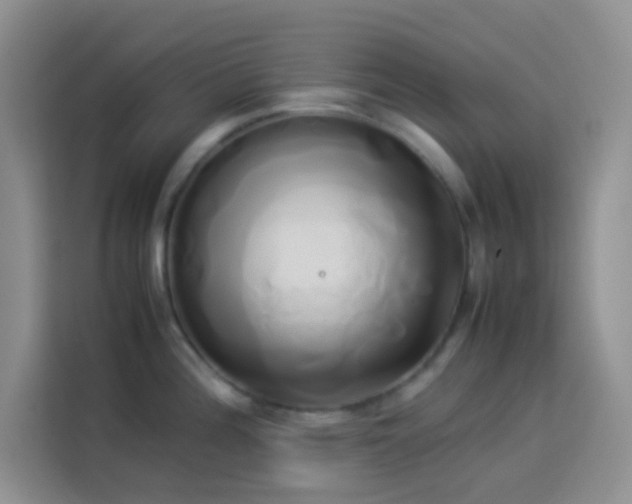 X0000114151196200910081327