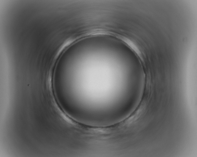 X0000114151197200910081327