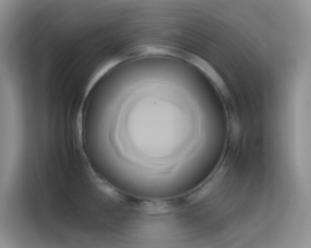 X0000114151198200910081327