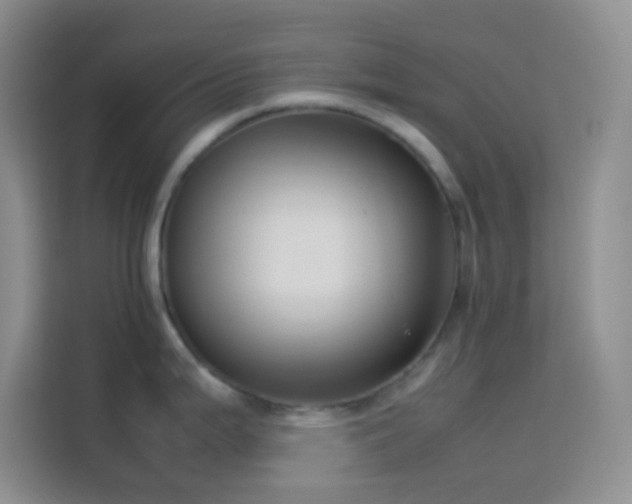 X0000114151199200910081326