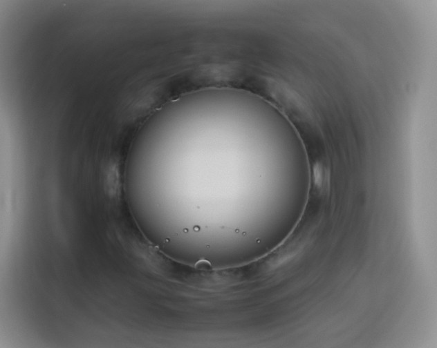 X0000114151203200910081326
