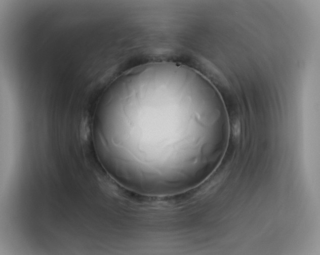 X0000114151204200910081326
