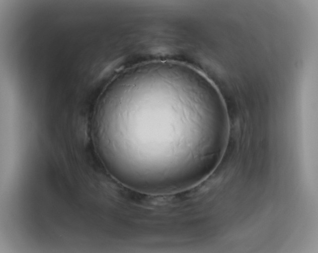 X0000114151205200910081326