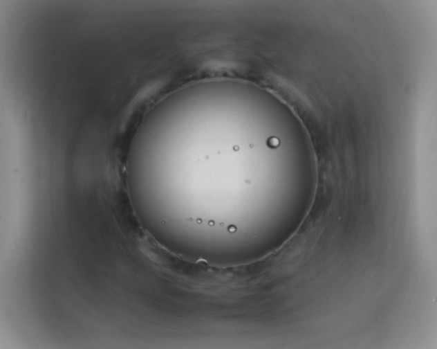 X0000114151207200910081326