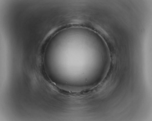 X0000114151208200910081326