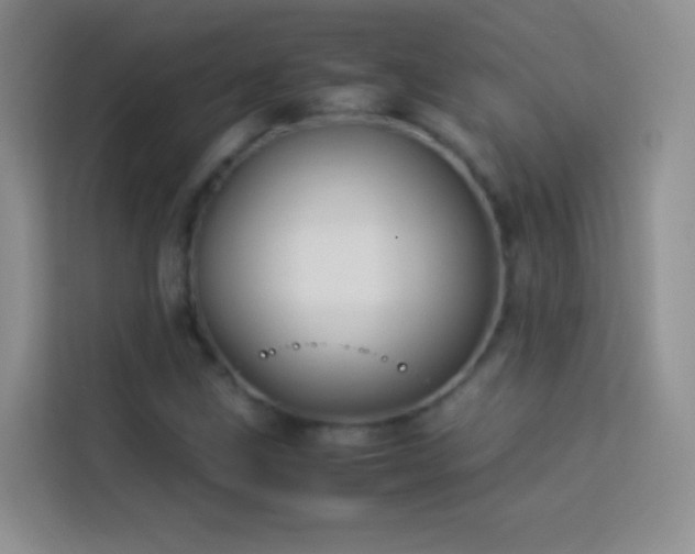 X0000114151211200910081326