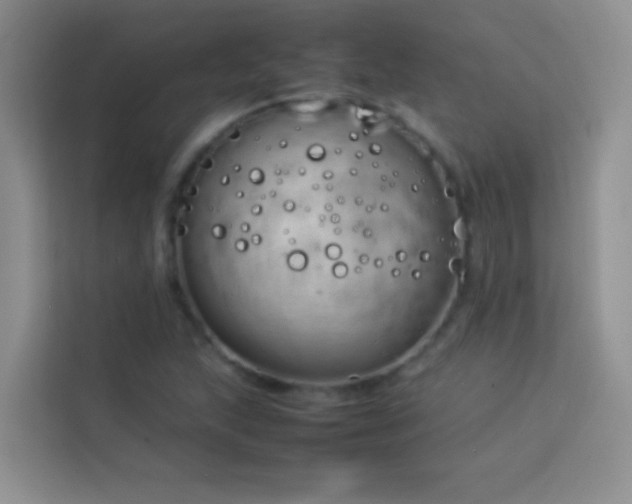 X0000114151215200910081326