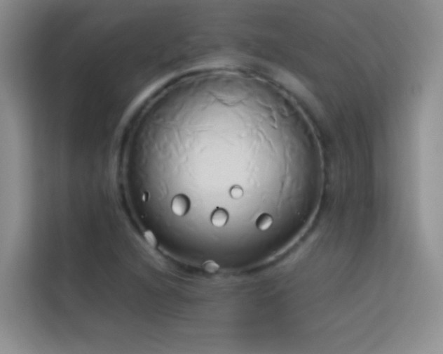 X0000114151216200910081326