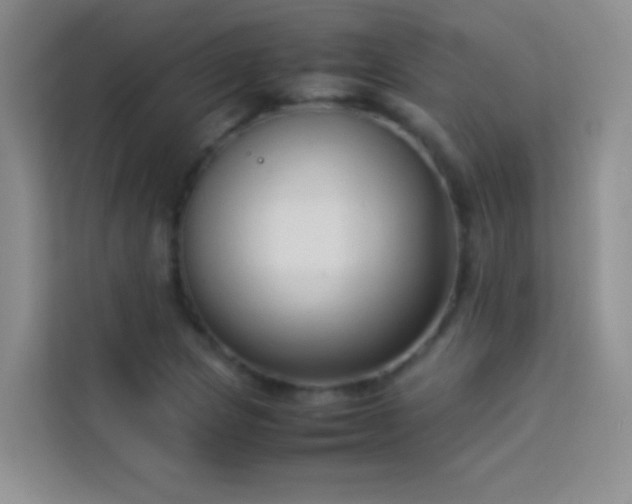 X0000114151217200910081326