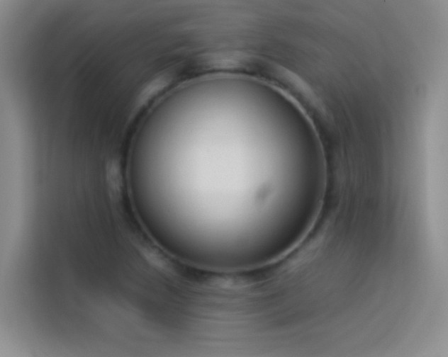X0000114151218200910081326