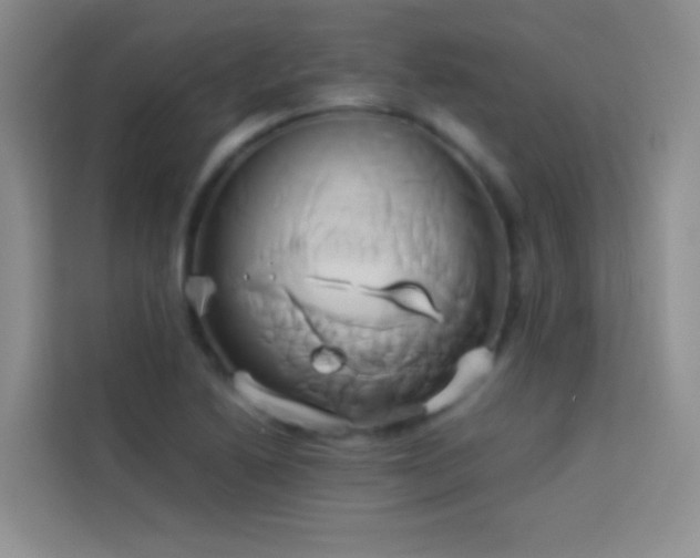 X0000114151222200910081326