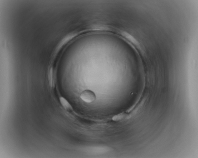 X0000114151223200910081326