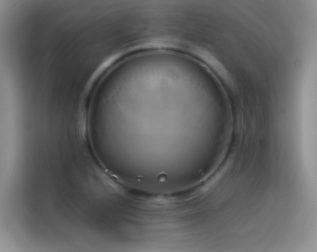 X0000114151224200910081326