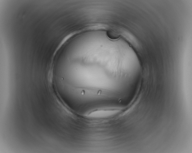 X0000114151228200910081326