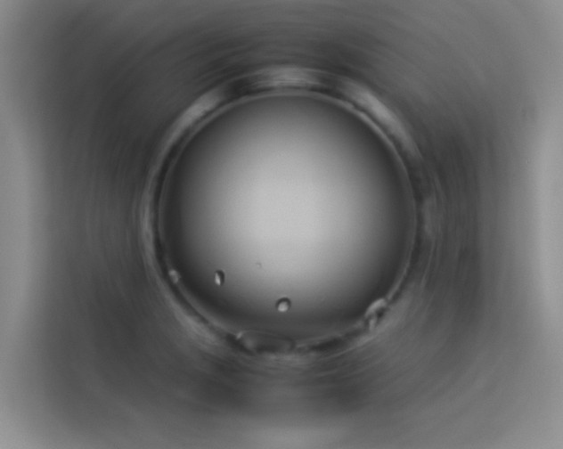 X0000114151229200910081326
