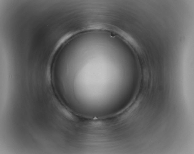 X0000114151230200910081326