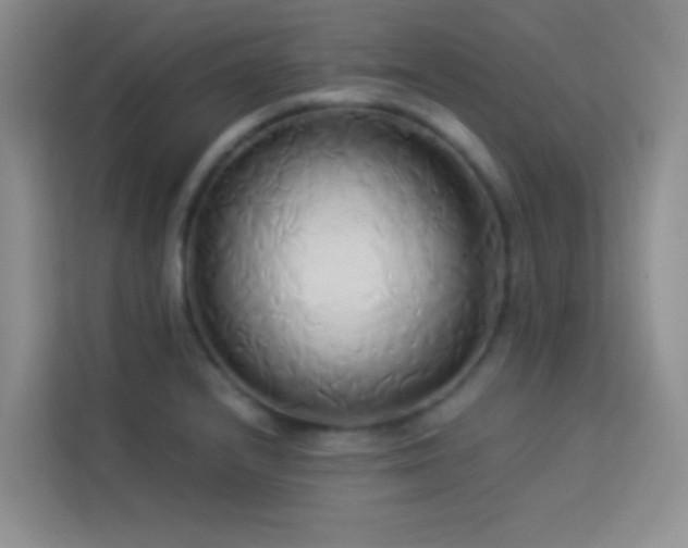 X0000114151232200910081326