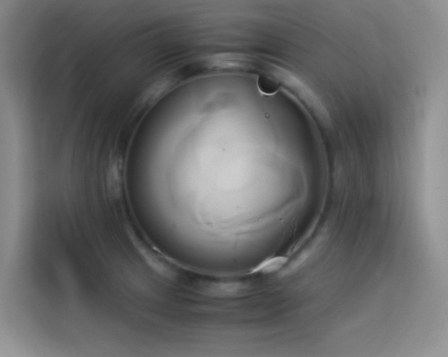X0000114151233200910081326