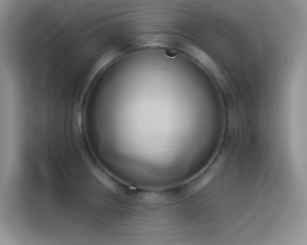 X0000114151234200910081326
