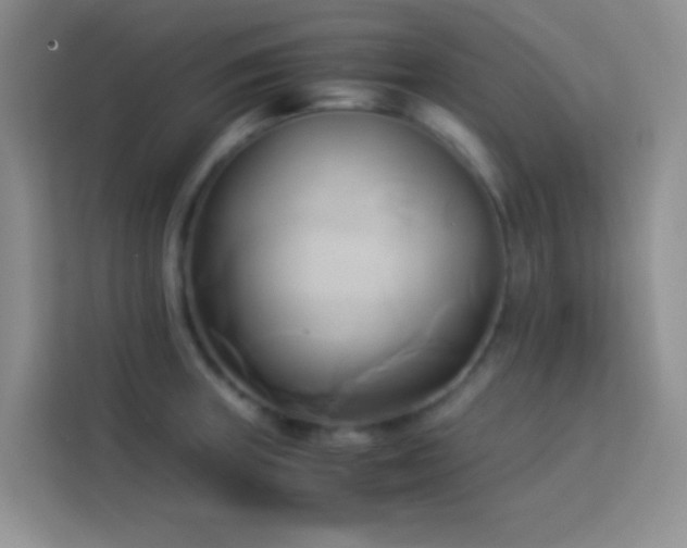 X0000114151235200910081326