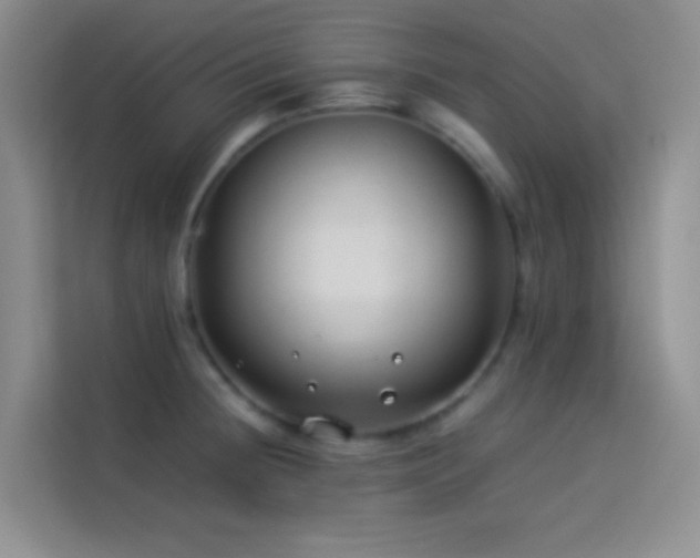 X0000114151236200910081326