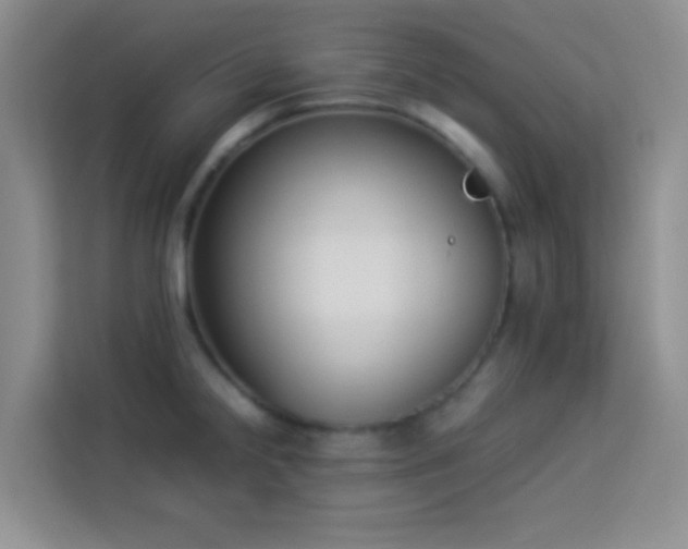 X0000114151238200910081326