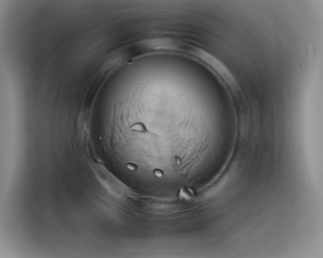 X0000114151241200910081326