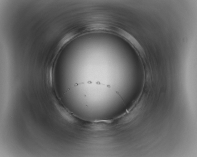 X0000114151242200910081326