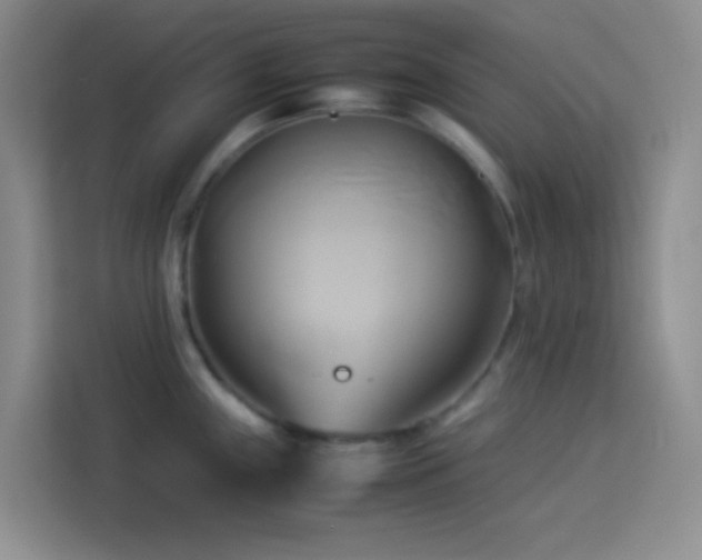 X0000114151243200910081326