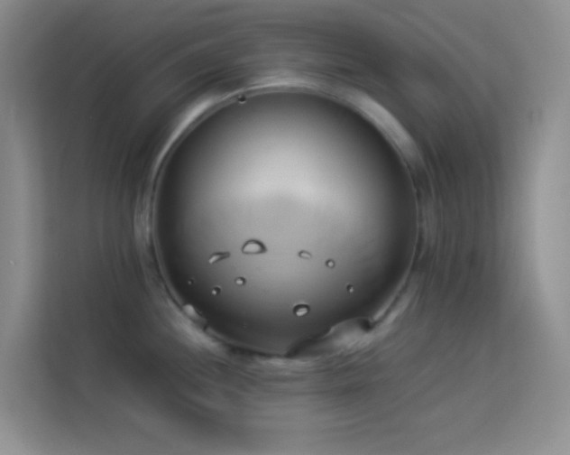 X0000114151244200910081326