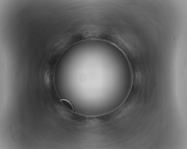 X0000114151250200910081326