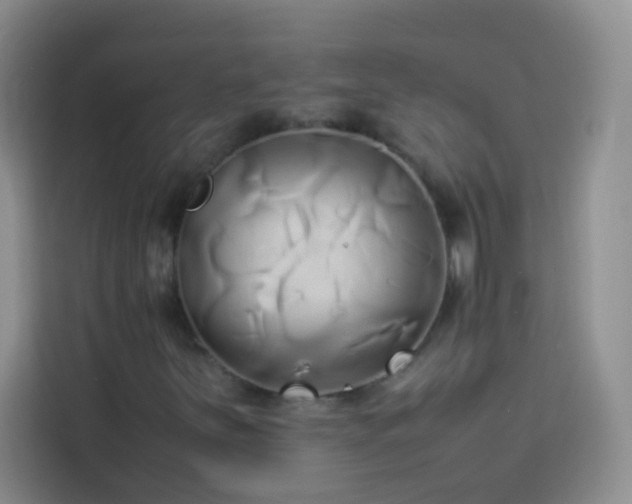 X0000114151251200910081326
