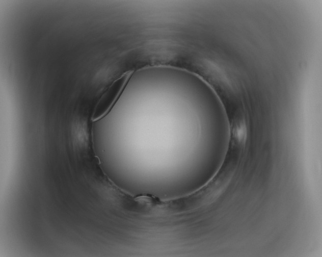 X0000114151252200910081326