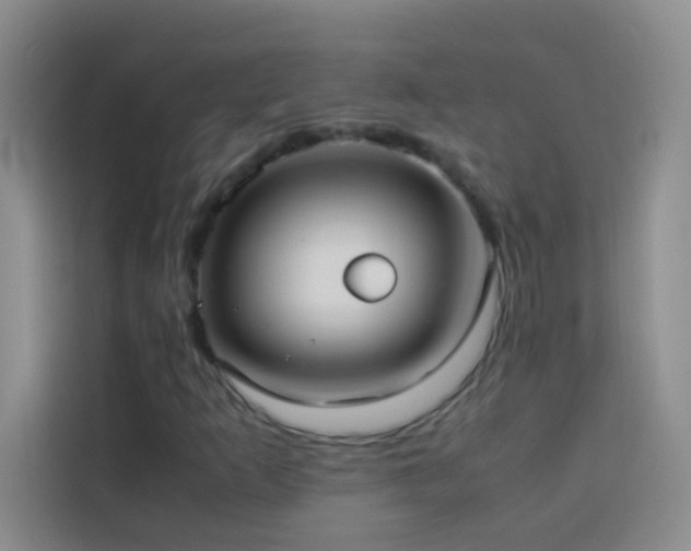 X0000114151253200910081326