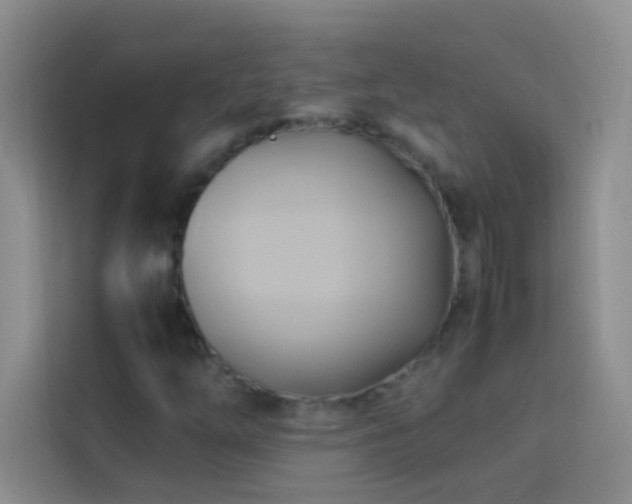 X0000114151254200910081326
