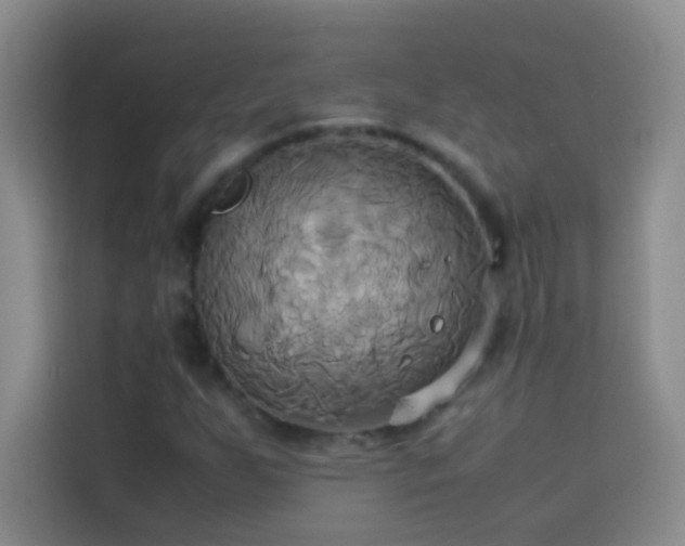 X0000114151255200910081326