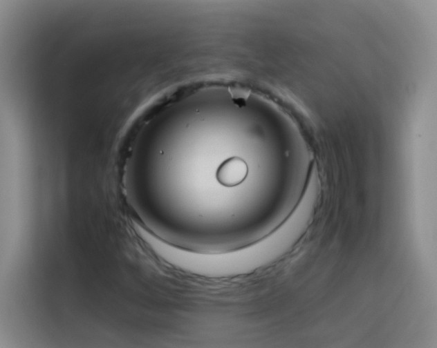X0000114151256200910081326