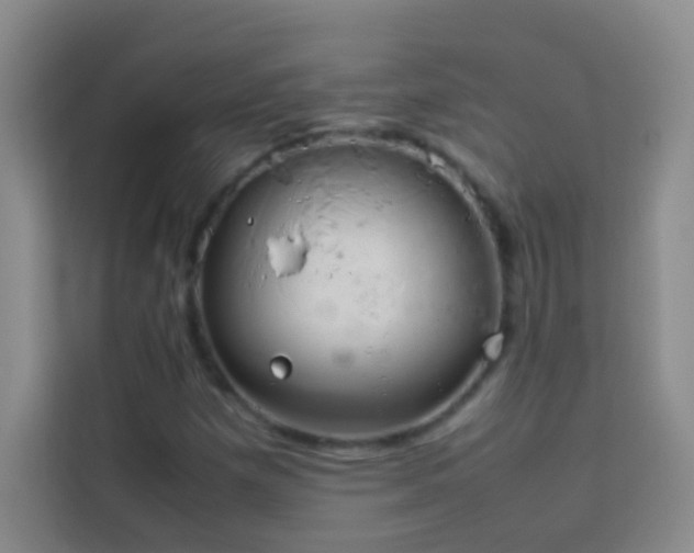 X0000114151257200910081326